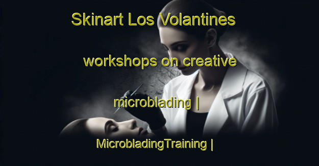 Skinart Los Volantines workshops on creative microblading | MicrobladingTraining | MicrobladingClasses | SkinartTraining-Mexico